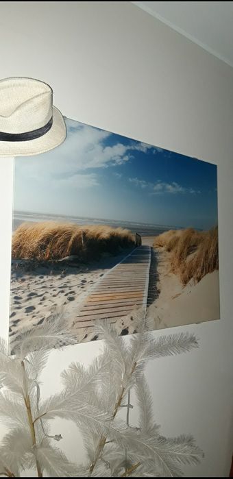 Foto obraz szklany 100x70 Castorama