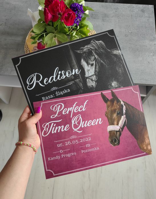 Tabliczki na boks ostrzegawcze do stajni