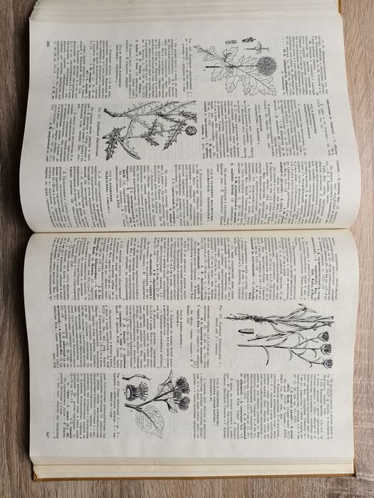 Определить высших растений Украины