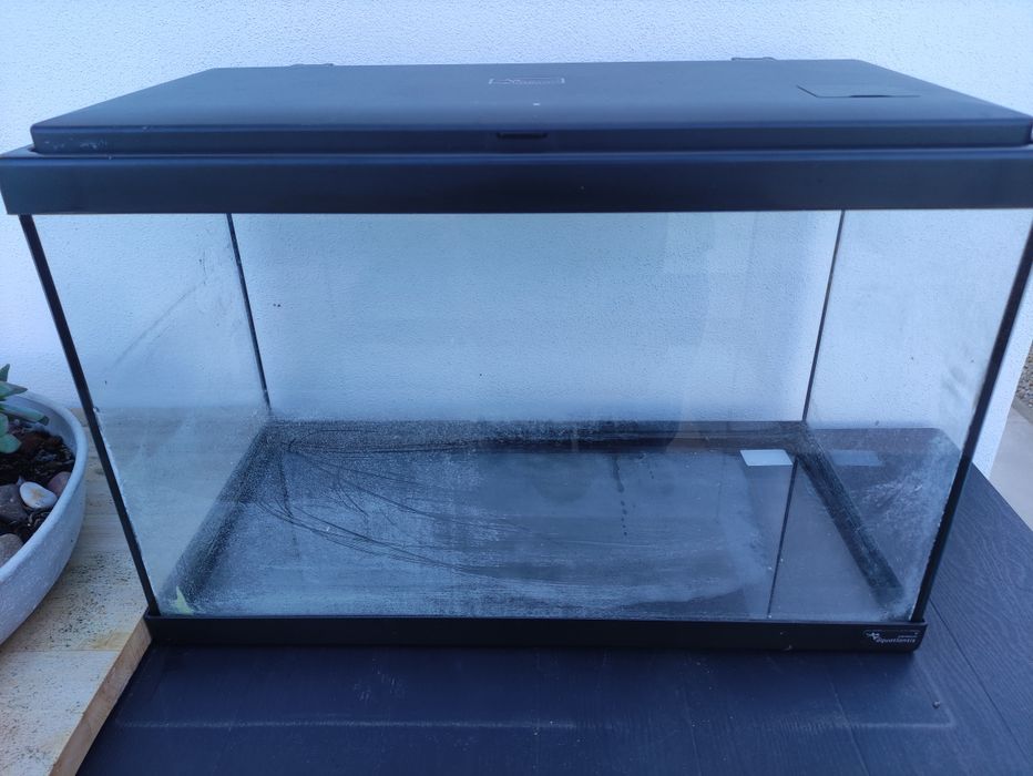 Aquário para peixes