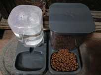 2 tacas para animas