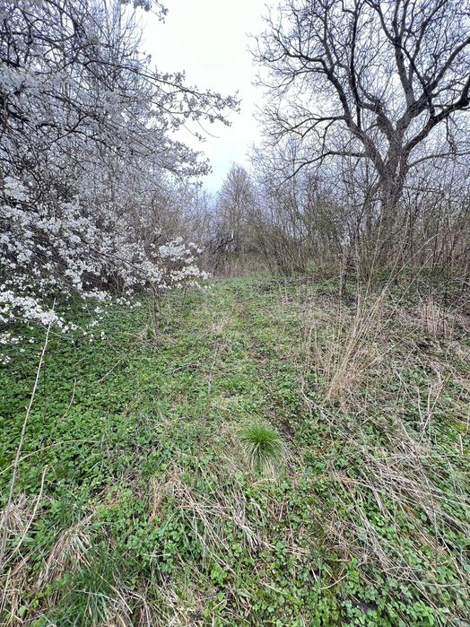 Терміновий продаж ! Ділянка під Будівництво . Вовчухи