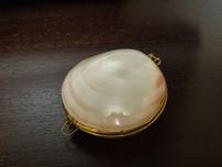Puzderko z muszli, muszla na biżuterię 7 cm