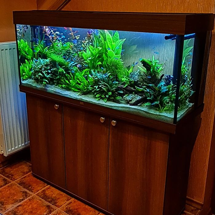 Zakładanie/serwis akwarystyczny