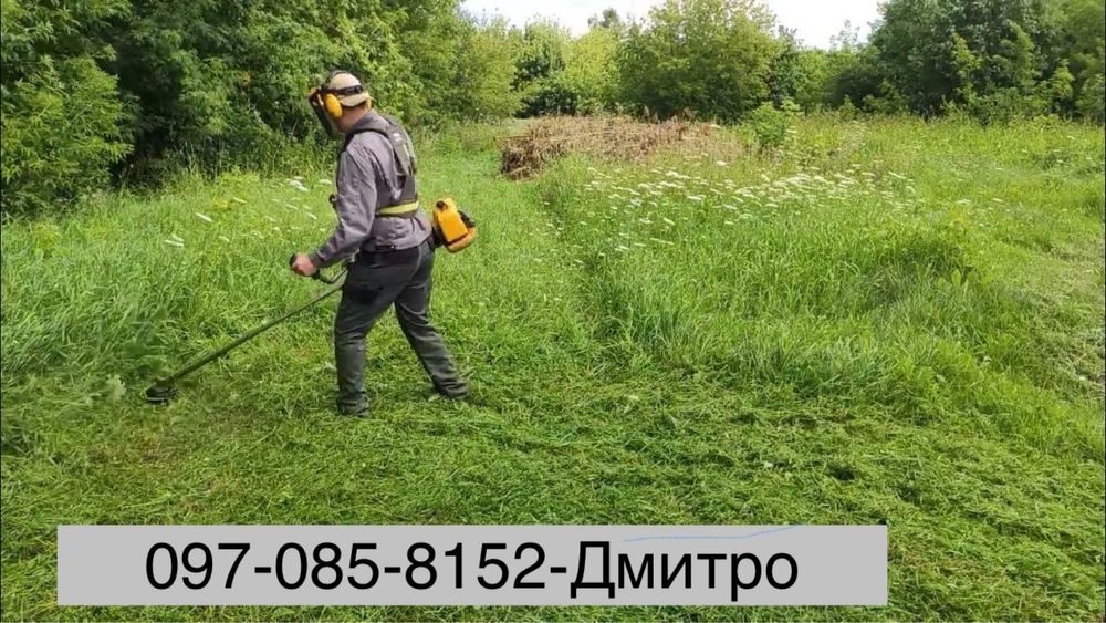 Стрижка газону, покіс трави