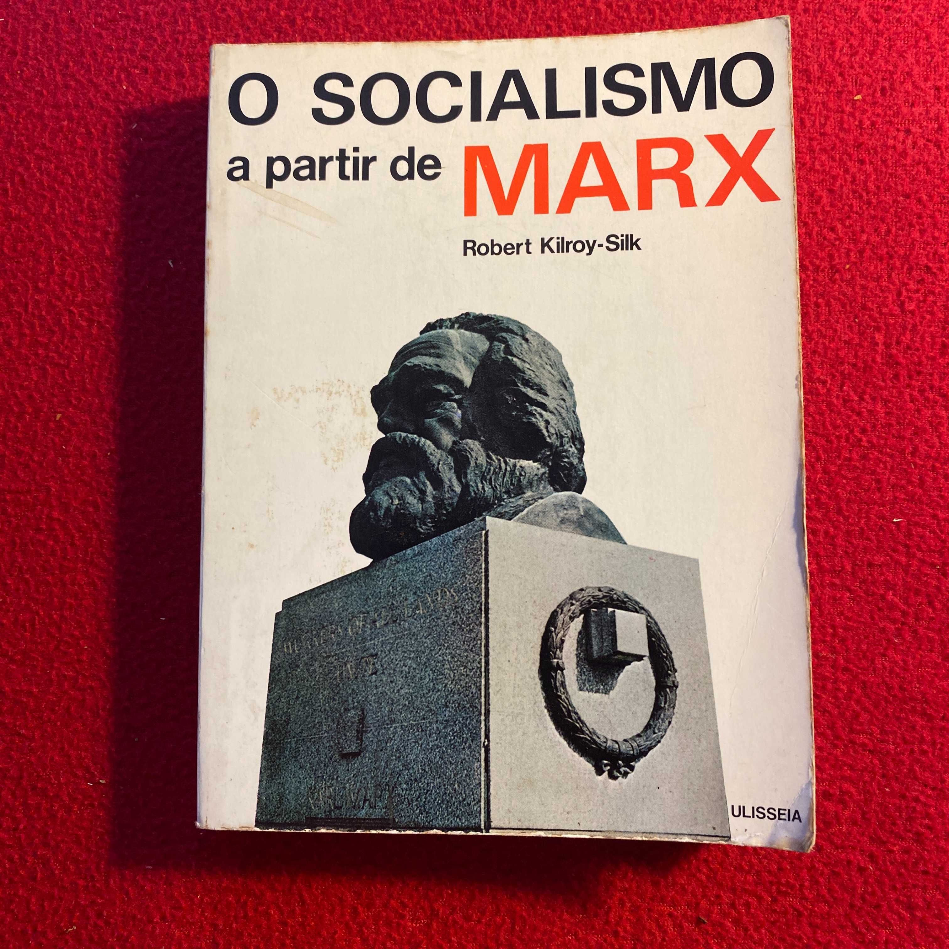 O Socialismo a partir de Marx Autor: Robert Kilroy-Sik