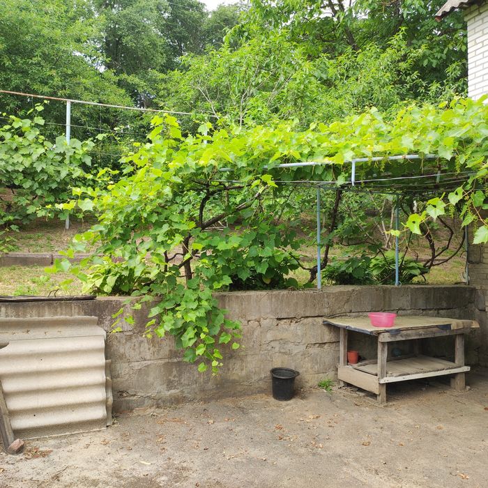 Продам будинок з земельною ділянкою