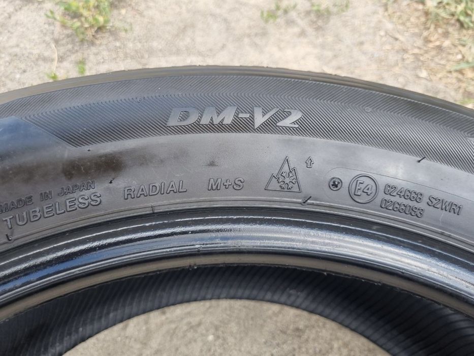 Шини Bridgestone Blizzak DM-V2 235/55 R19 пара