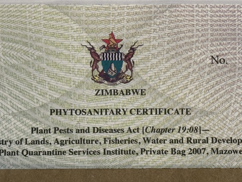 Orzechy makadamia w łupinach Zimbabwe