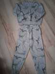 Dres Dinozaury 122