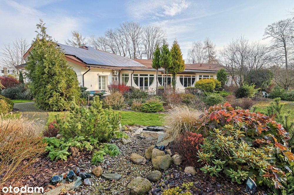 Złotno: wyjątkowa posiadłość łącząca przestrzeń, ciszę i prywatność