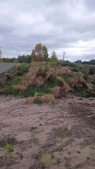 oddam ziemię z darnią za darmo