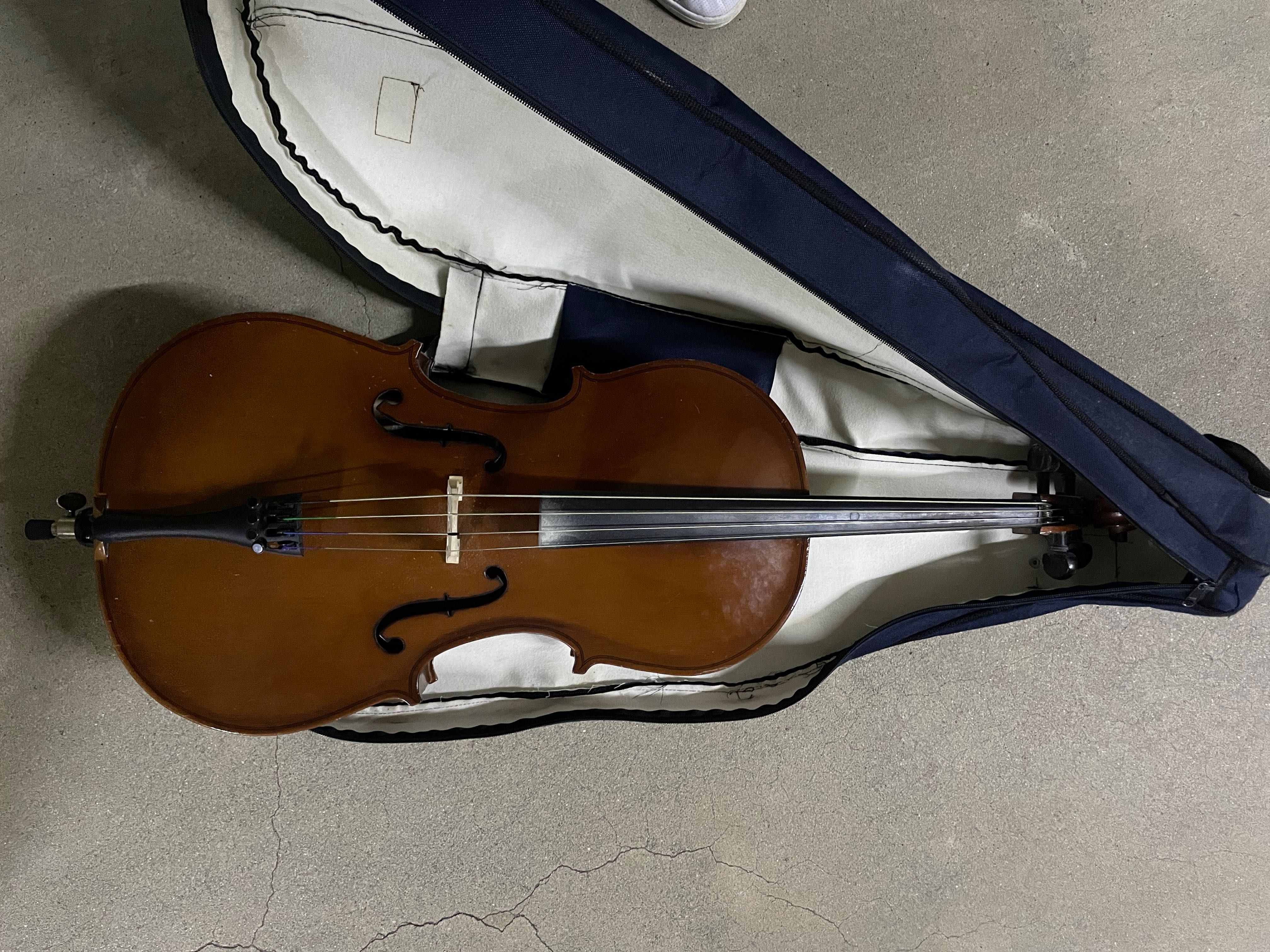 Violoncelo iniciantes