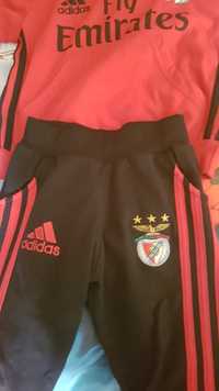 Fato treino adidas usado como novo benfica slb 6 anos