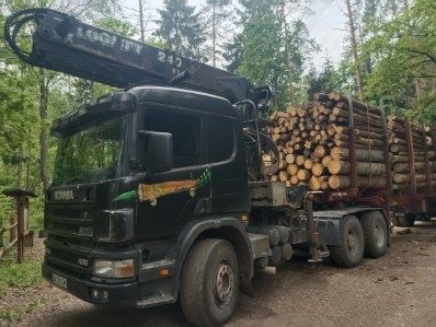 Scania 6x4 do drewna drzewa lasu dłużycy