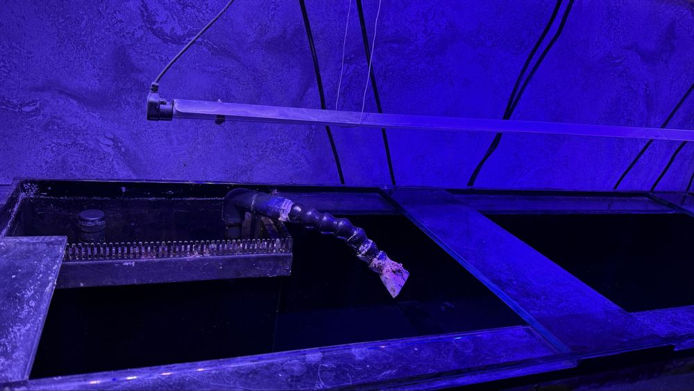 Akwarium 600l. 200x50x60h +sump+stelaż+szafka+hydraulika