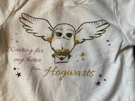 Bluza 80 Harry Potter Sowa