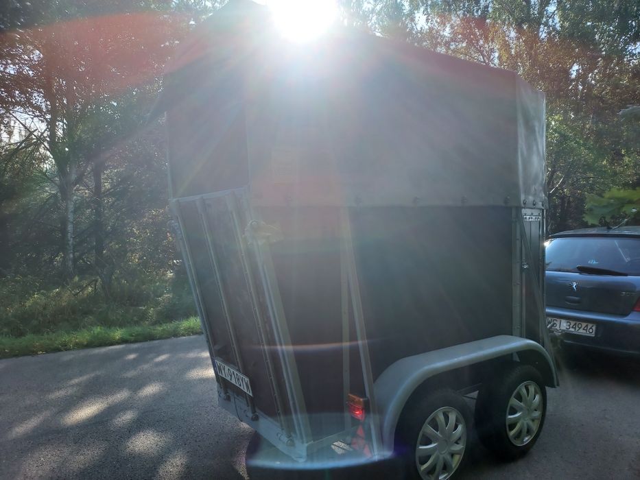 Klacz, ogier zamienię 1200 dmc