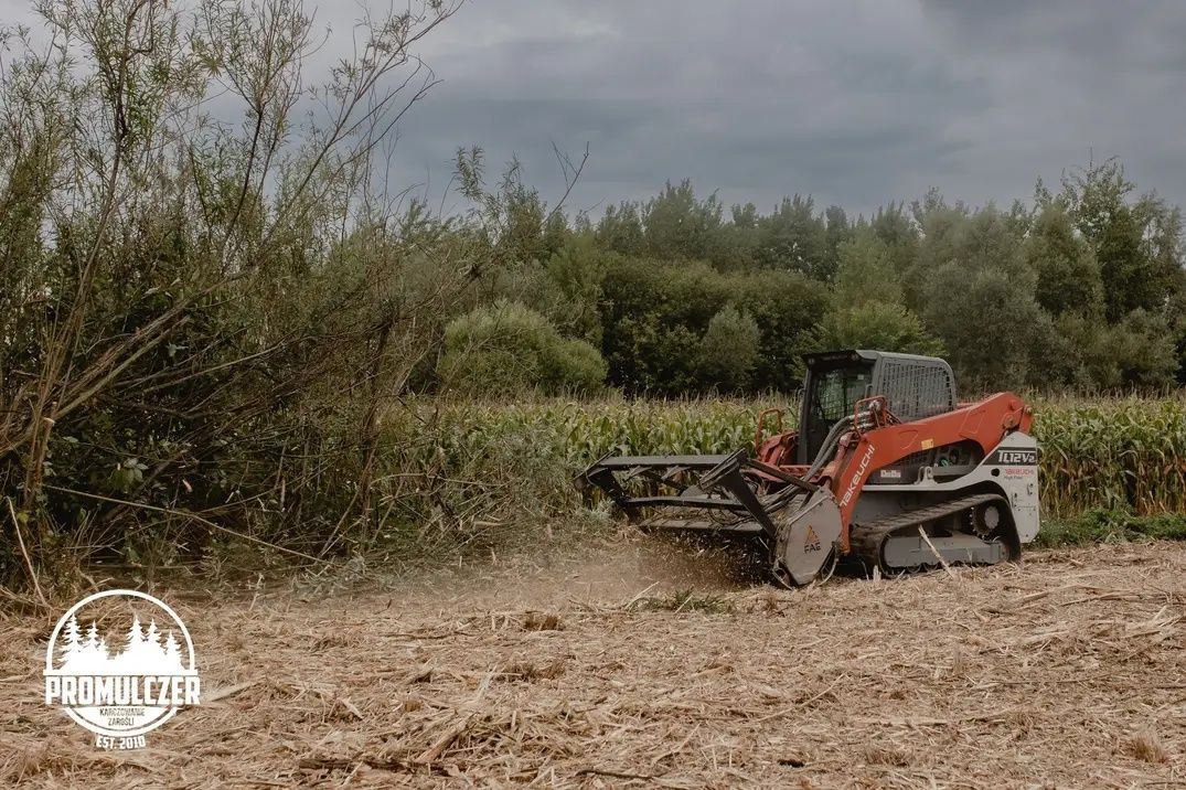 Karczowanie zarośli wycinka samosiejek oczyszczanie terenu mulczer