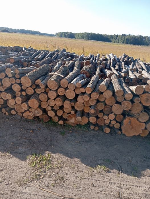 sprzedam drewno opalowe i kominkowe