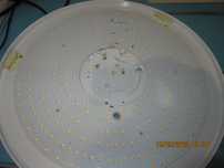 MS-40W-16C12B.2-A3    DMD.SL.40