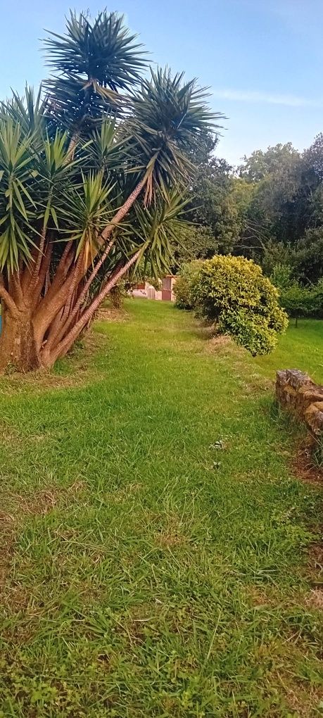 Alugo terreno, vedado ideal para criação ou treino de animais