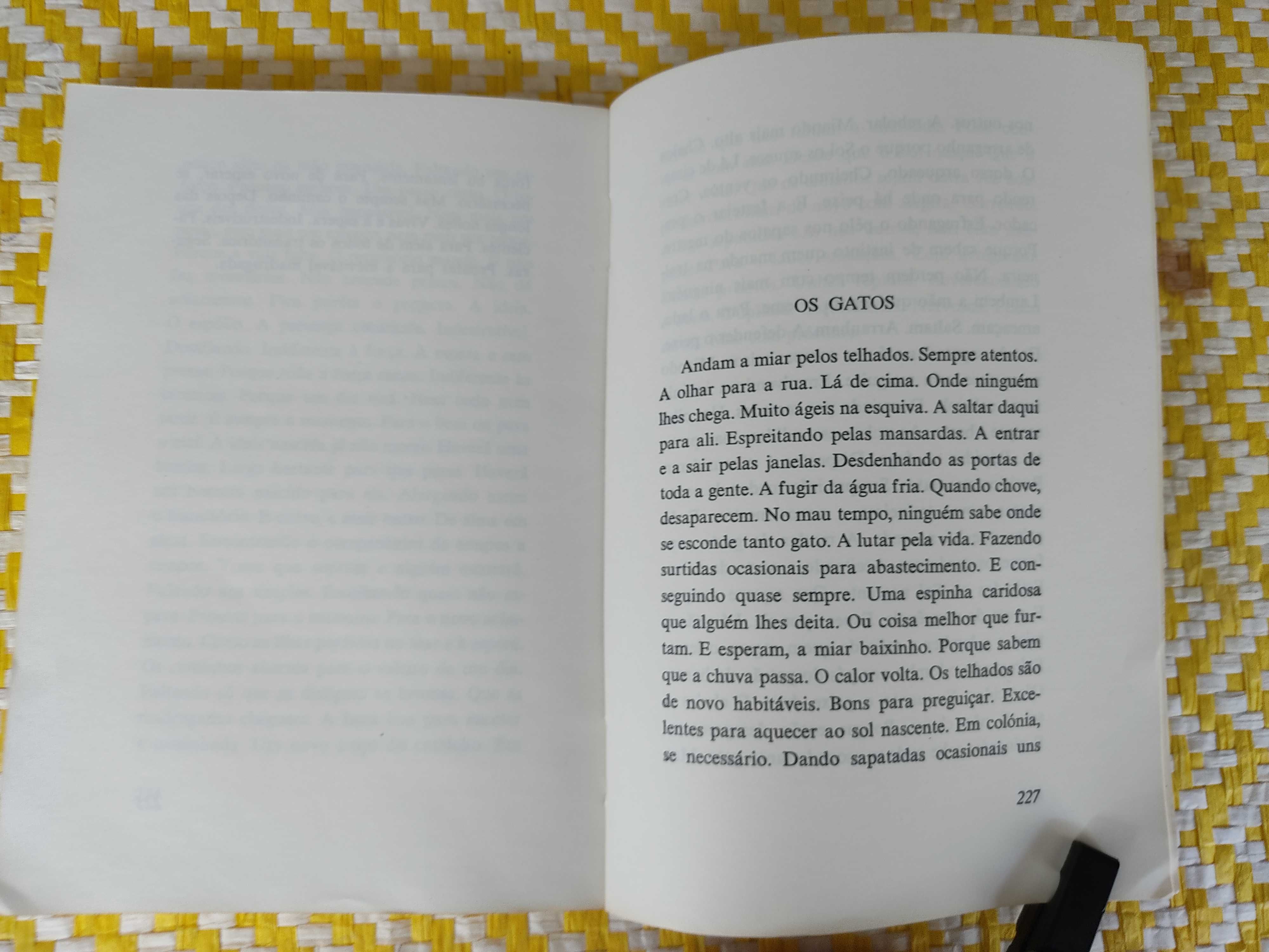 Tempo de Vésperas 
Adriano Moreira