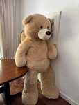 Urso de peluche.