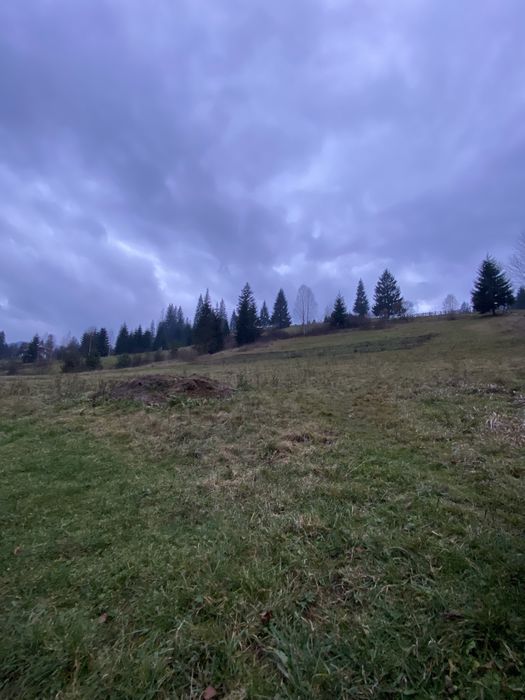 Земля в Ворохті!