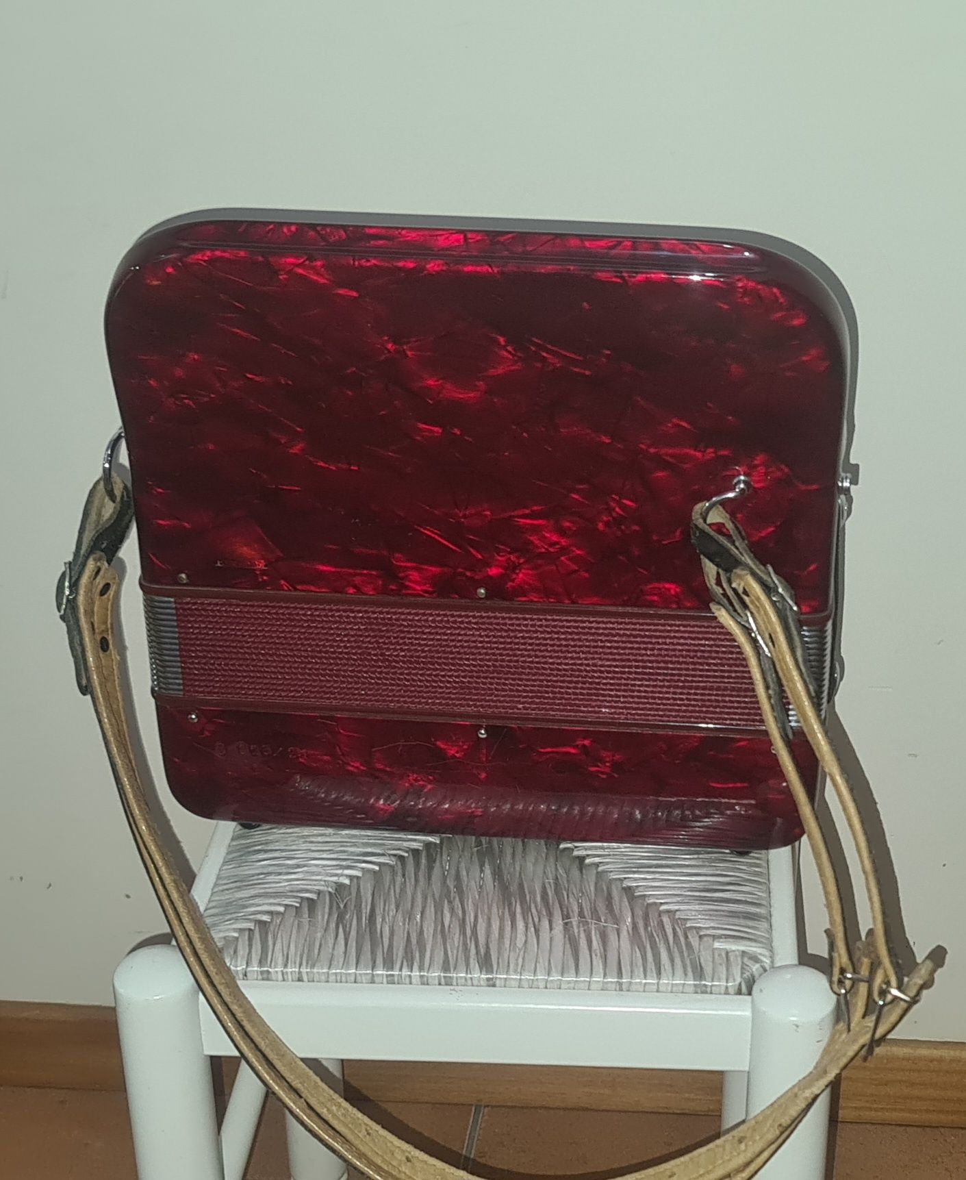 Concertina adria