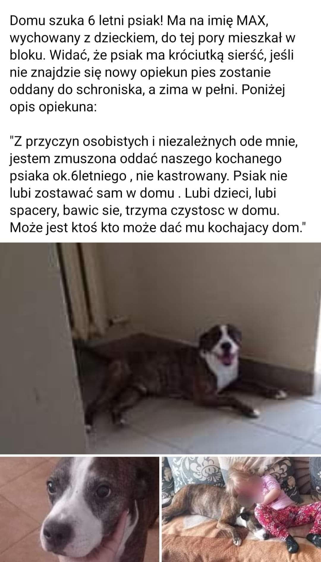 Pilnie potrzebny kochający dom