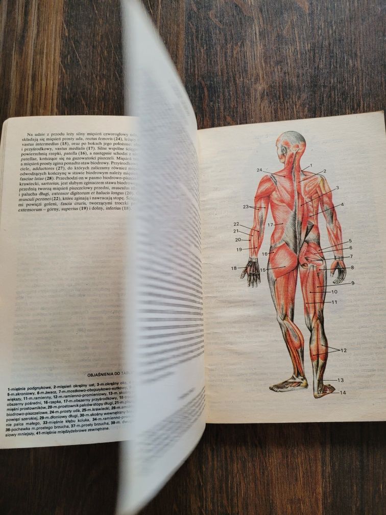 720. "Mały atlas anatomiczny" Witold Sylwanowicz