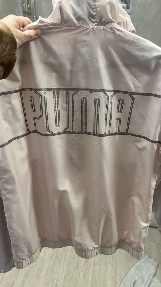 Вітрока puma
