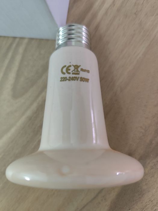 Lâmpada de Aquecimento para Répteis