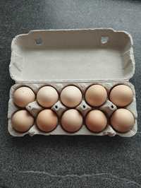Swojskie wiejskie jajka jaja naturalne eko świeże 1,10zł 1szt Żelechów