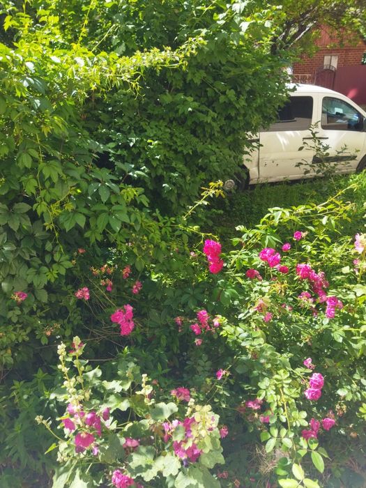 Продається 2- к квартира на Ювілейному