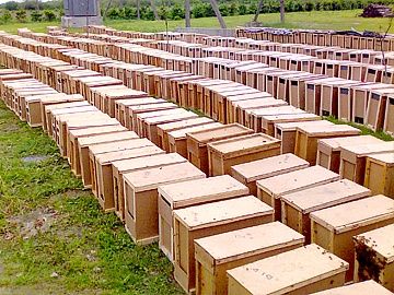 Бджолопакети пчелопакеты