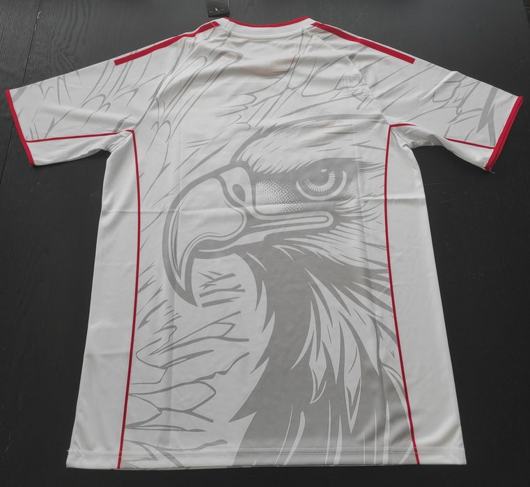 Camisola do Benfica, edição especial