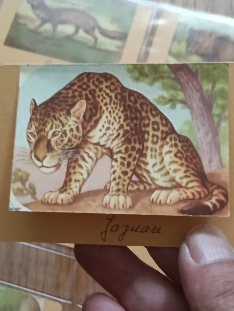 Lote de 17 cromos antigos