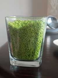 Kamyki ozdobne zielone do szkła wazonu 250 ml Kamyczki do doniczki