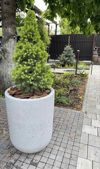 Продаж бетонних вазонів