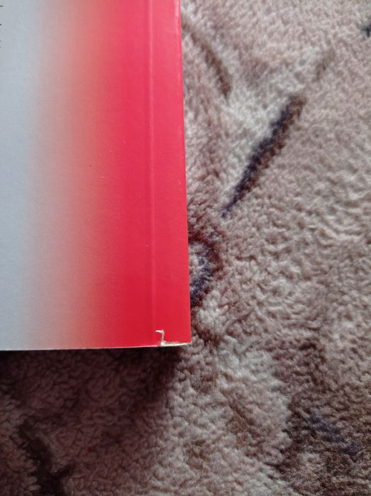 Książka Pedofilią w kościół oblicza kłamstwa