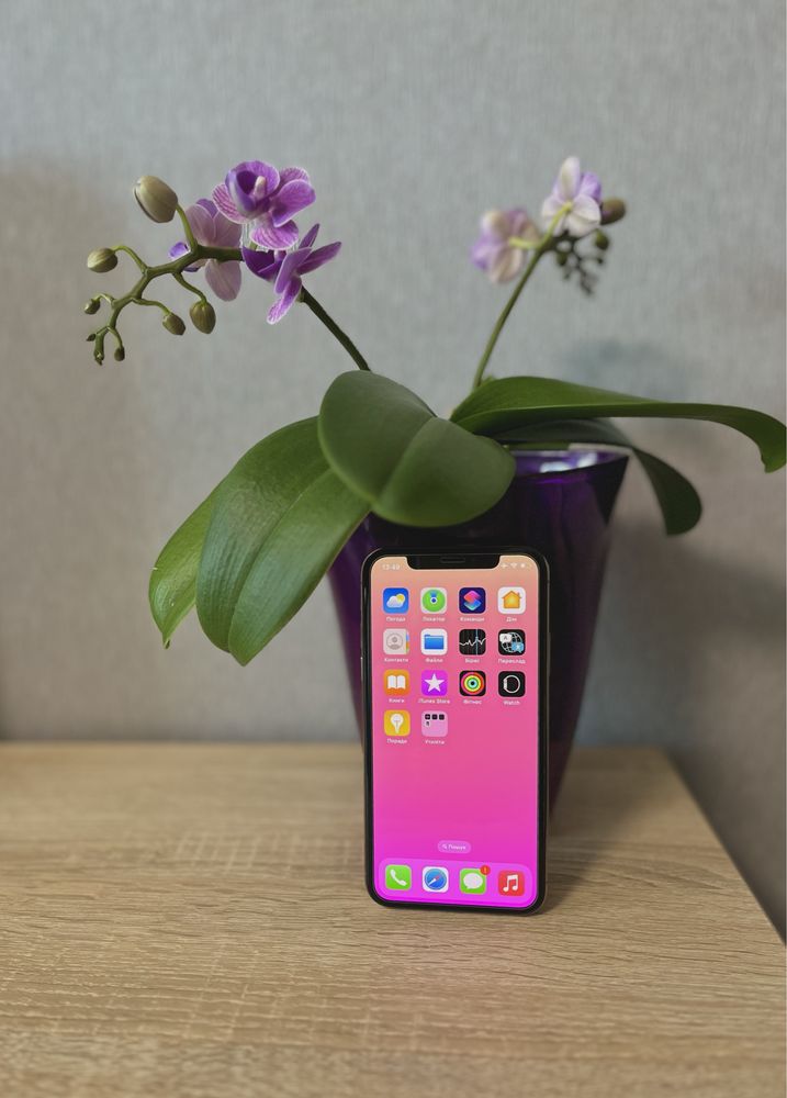 Apple iPhone XS 64GB Gold епл айфон хс 64гб голд в ідеальному стані