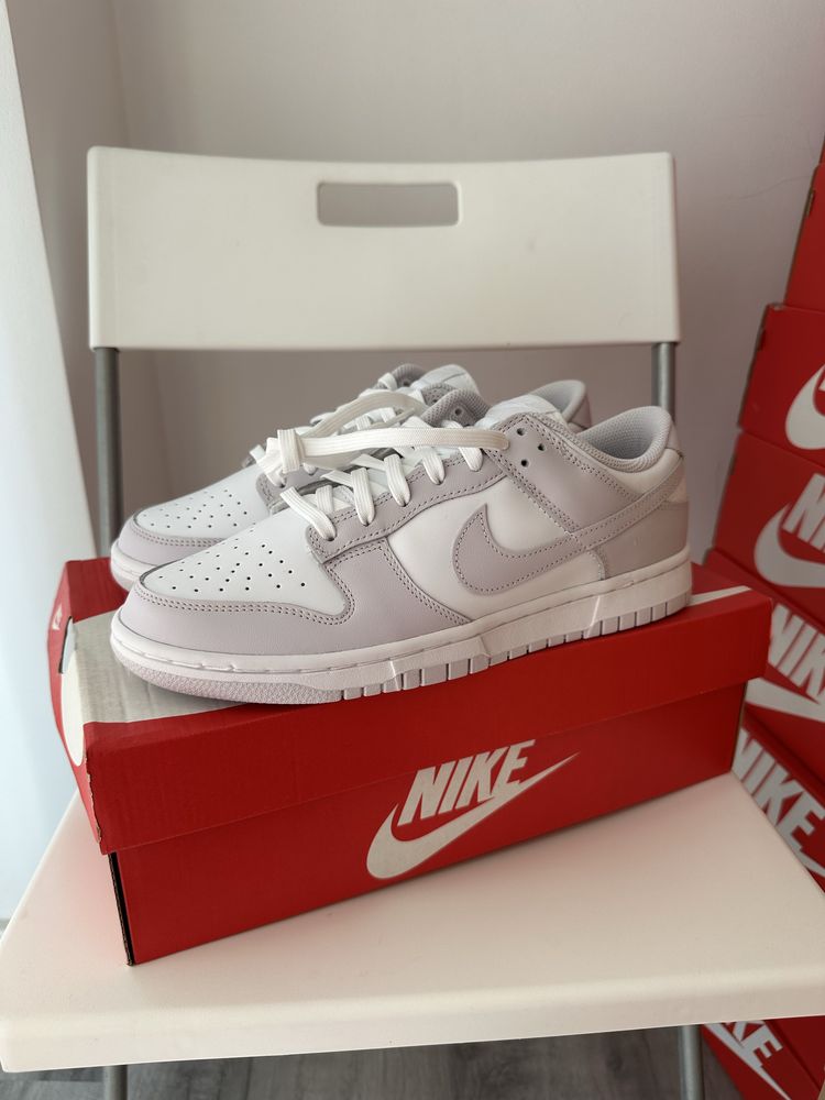 Nike Dunk Low Venice [42]