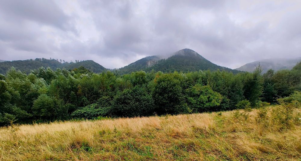 PIĘKNY WIDOK! - Działka budowlana 920 m2; Jedlina-Zdrój