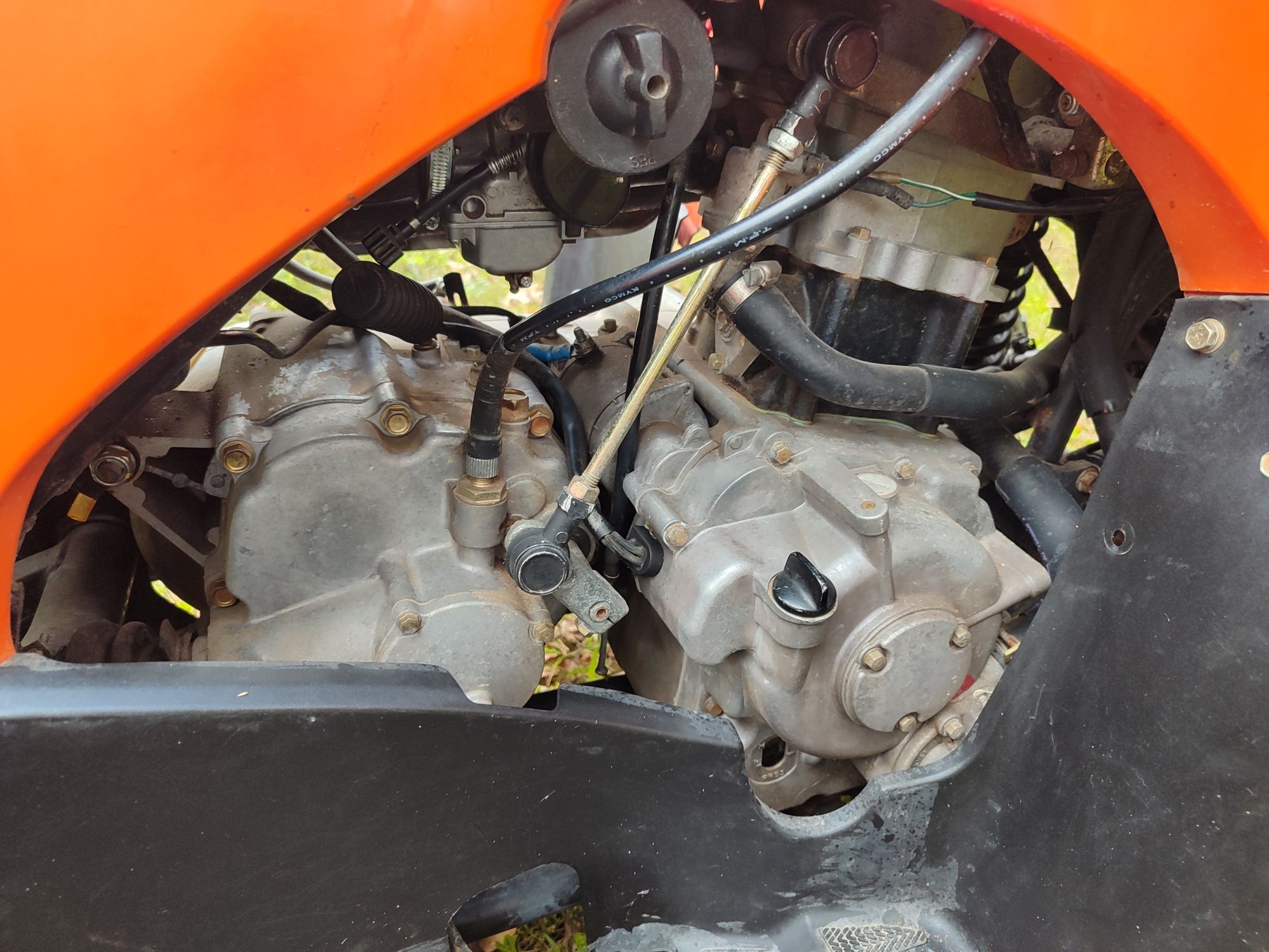 Kawasaki Brute Force 300  quad