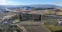Quinta da Varanda em Lamego