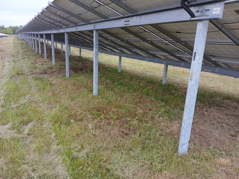 Tanie koszenie farm fotowoltaicznych - szybkie terminy