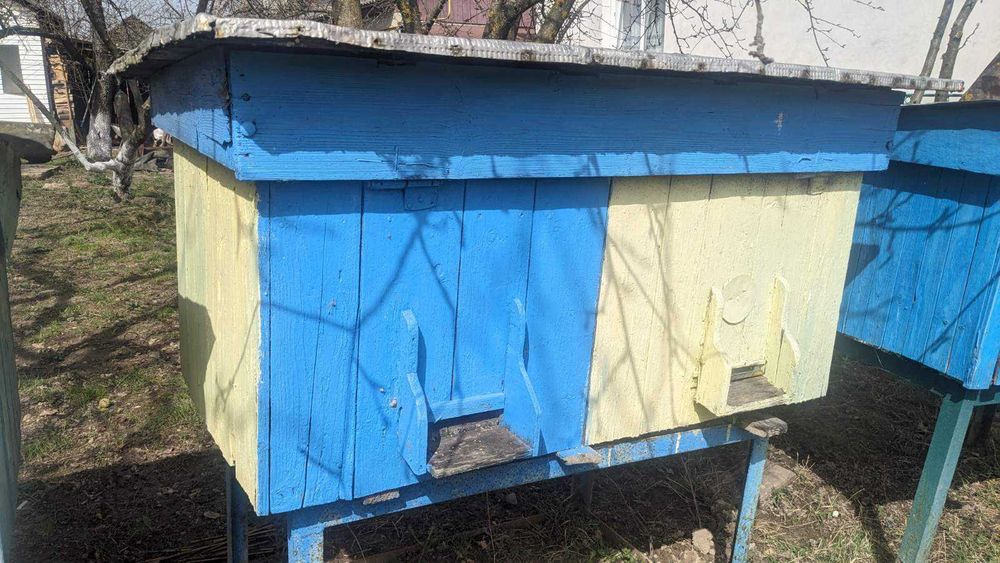 Вулики на 2 сім'ї