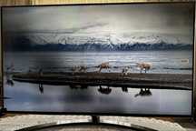 Telewizor LG 4K 120hz nano863 GWARANCJA !!!